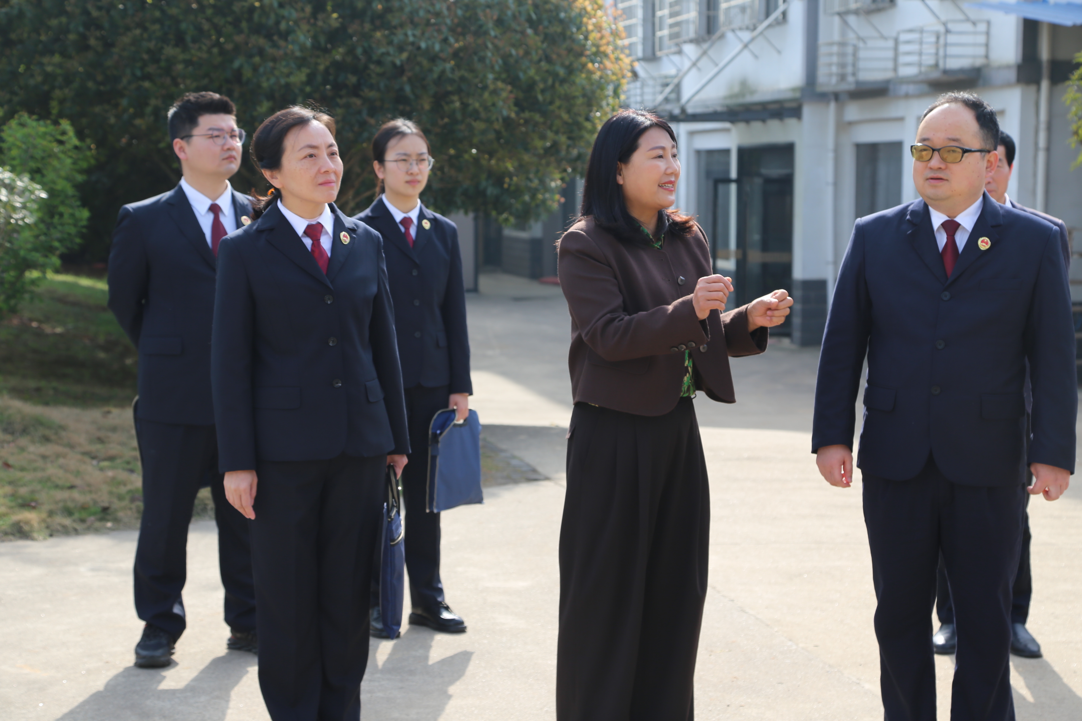赤壁：检察长联络代表纳谏、走访企业问需 “搭脉”服务青砖茶产业高质量发展